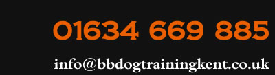call 01634 669 885 or email dog training kent medway